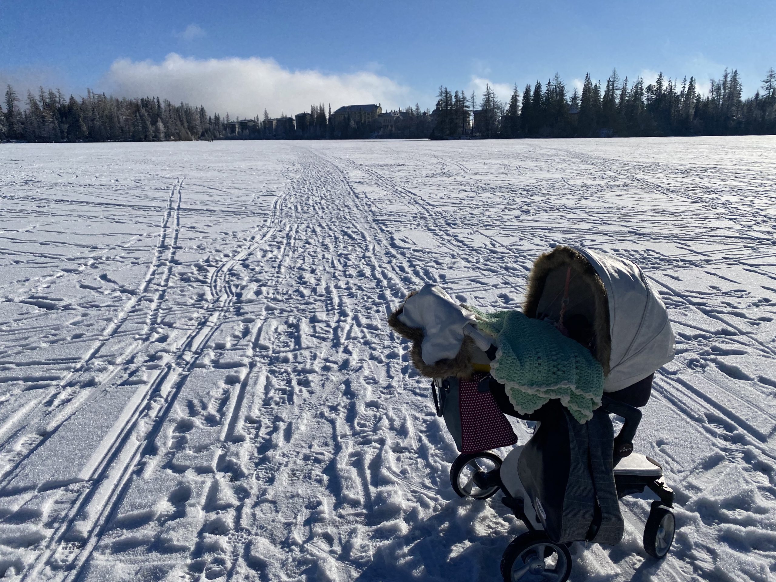 a baby in a stroller in snow